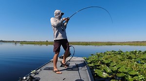 When you flip the perfect mat 👀 #flipping #Florida #whynot | Gambler Lures