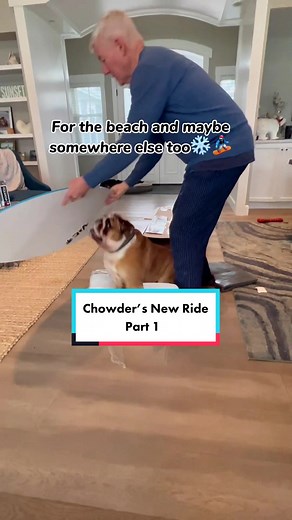 Chowder's Christmas Adventures: Snowboarding Fun with Santa's Gifts