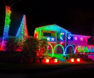 Computer Controlled Christmas Lights With Light-O-Rama