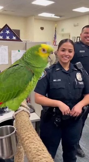 Fun Parrot Moments That Will Make You Smile