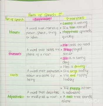 Language Structure and Conventions made EASIER