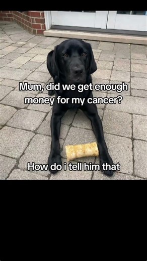 Pov: you stayed for 20s and donated for Buddy cancer surgery that is yet to happenHow do I tell
