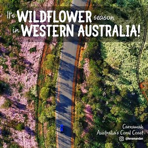 146K views · 4K reactions | Grab your camera, we're in the middle of...