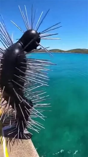 Innovative New Diving Suit Technology