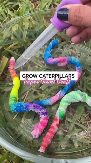 Magically grow caterpillars made out of paper towels. #kidsactivites #learningathome #summercamp #outdoorkid #learnontiktok