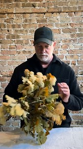 CRÈME EXPRESSION• A rose unlike any other. This song by @victorray ….. unlike any other. #swoon (roses, bowl & foliage from @kennicottchicago ) | epoch.floral