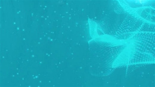 14K views · 204 reactions | Warka Universal TV 16/07/2024 | Universal Somali TV | Facebook