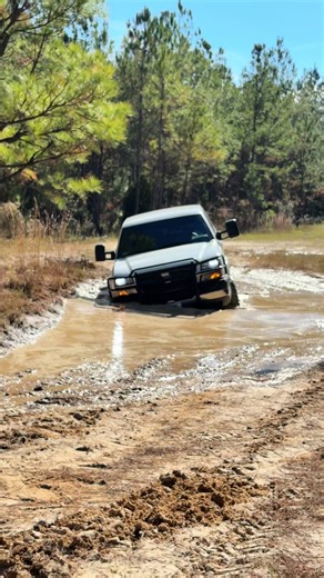 Durmax diging?#durmax #lb7 #cateye #silverado #digrigs🌾