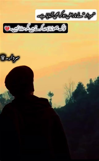 سردار۔♕#سردار #foryoupage❤️❤️ #1millionviews #foryoupage❤️❤️ #سردار