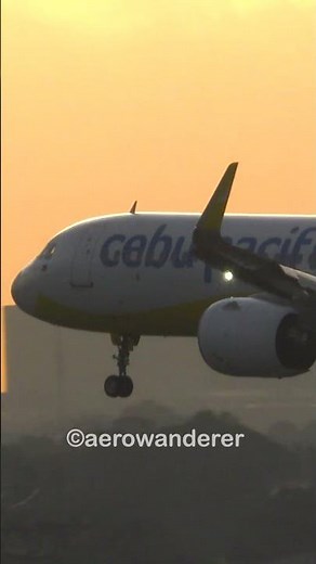 CEBU PACIFC A321 NEO landing at Manila Airport #shorts #aviation #plane #a321 #landing #manila