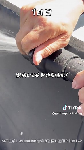 庭の池が透明になるまでの過程