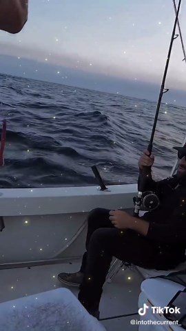 Bluefish Trolling Techniques for Successful Fishing
