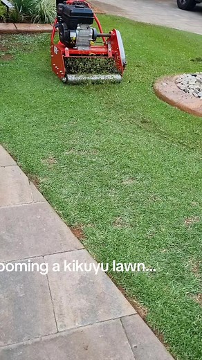 Grooming a Kikuyu Lawn for Healthier Growth