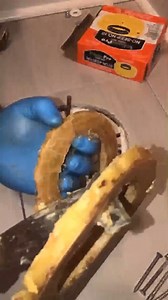 5K views · 145 reactions | Repairing a floor flange that’s too low. #toilet #plumbing #plumber #PlumbingServices #PlumbingSolutions #plumbingrepair #plumbingproblems #waxseals #plumberslife #repair #fix #plumb #newhome #learn #goodjob #homerepair #homeissues #explorepage #fyp #viralvideo #viral #toiletrepair #newsfeed #GoodNews #handyman #reallife | The Plumbing Jedi | Facebook