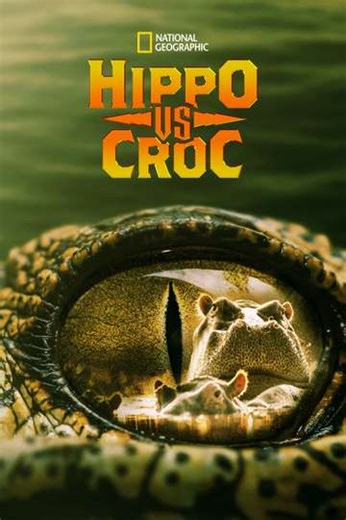 Hippo vs Croc - Movie