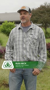 Maximize silage with high quality and proven inoculants. 👏🐮 Click here to read more: https://bit.ly/4haugUC | Pioneer Seeds