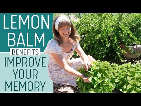LEMON BALM BENEFITS | Memory & Brain Tea Recipe