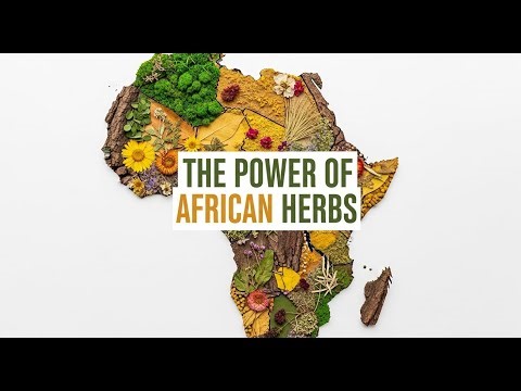 The Power of African Herbs