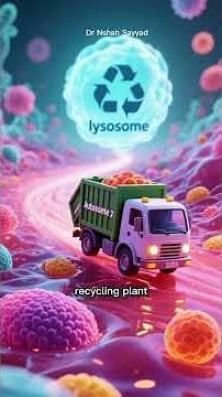 ​How Autophagy Works: A Step-by-Step Molecular Journey
