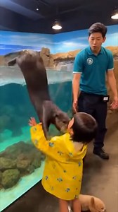 524K views · 18K reactions | Water pups! 殺 | Furry Tails | Facebook