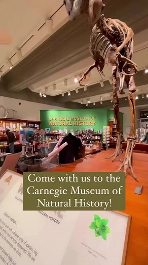 The Carnegie Museum of Natural History is dino-mite! 🦕 Escape the cold winter weather and go back to prehistoric times while discovering dazzling minerals and gems, unearthing diverse plant life and much more. 💎🌱🦒 Check out our Insider’s Guide here ➡️ https://bit.ly/3DmtTE3 #LovePGH | Visit Pittsburgh