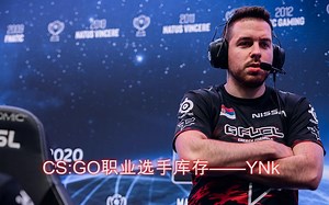 CS:GO职业教练库存——YNk