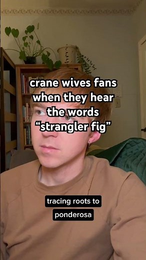 time to update your tree playlist #thecranewives #stranglerfig #naturecore #sparkbird #trees