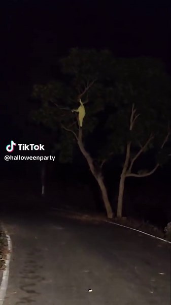 Mr Bhoot King: Haunted Tree Adventures