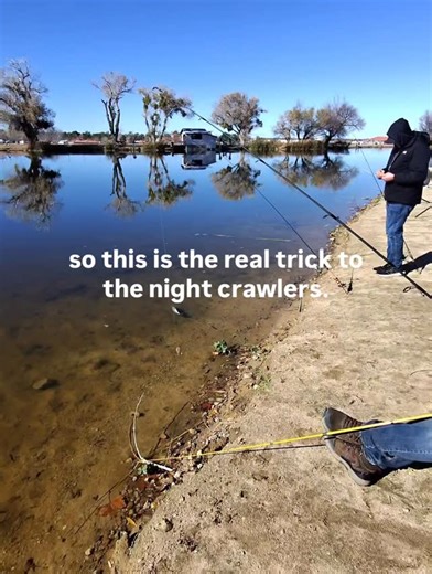 Guccigoesfishing on Instagram: "QUICK PRO-TIP! Inflate your nightcrawlers with a worm blower syringe to float them off the bottom for rainbow trout!! This is a great trick to use with a Carolina rig that’ll leave your night crawler floating off the bottom! This is great when the fishing is super pressured and everyone’s throwing micetails, powerbait, and mini jigs. Helps get a bite when it’s slow! Give it a try 🔥🔥 #viral #fishing #fish #explorepage #reels #explore #bass #fishinglife #outdoors