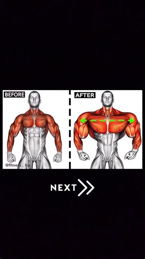 FITNESS TIP on Instagram: "Full body workout"