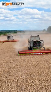 Here is a mainly slow-motion video of two CLAAS 7500 lexions combine harvesters cutting feed wheat at Thoresby Farming & Thoresby Livestock #FarmingVideos #ProHorizon #Harvest2022 #agricultural | Pro Horizon Farming Content