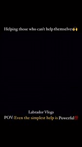 4.1K views · 10K reactions | A small act, a big difference Because every living being deserves care. #dogs #human #unconditional #bonding #unconditionallove #dog #streetdogs #helping #humanity #loyalty #kindness #hearttouching #doghelp #doglover #reelsviralシfb #videoviralシ | Labrador Vlogs | Facebook
