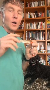 Looking for a safe and effective natural dewormer? Use Diatomaceous Earth! #doghealth #cathealth #worms #parasites #natural #homeremedies | Daily Pet Tips