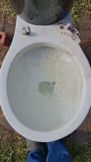 1988 Sanitarios Maracay Toilet Flush