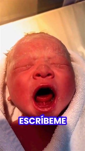 Tengo nutrientes con tecnología avanzada para ayudarte a limpiar tu matriz, fortalecer tu útero y mejorar tu fertilidad desde adentro pide el tuyo al WhatsApp 593 96 352 4599 #saludmaternafertilidad #ups #mom #estadosunidos #ecuador #estadosunidos #Usa #menopause #phoenix #nebraska #oregon #newyorkcity #newjersey #carolinadelnorte #Arizona #alabama #denver #eeuu #floridacheck #eeuu #Chicago #españamadrid #CicloFemenino #estadosunidos #infertility #estadosunidosdenorteamerica # | BellaVital