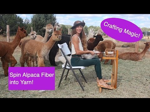 Crafting Magic: Spin Alpaca Fiber into Yarn