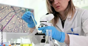 Scientist chemist dripping oil onto glass slide in front of microscope in chemical laboratory closeup 4k movie slow motion. Microscopy in biology concept