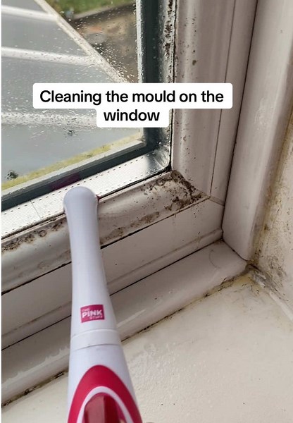 My windows have so much condensation and mould is everywhere. Me and my family struggle with asthma, I’m trying to keep it clean and open the windows a lot, with this could it’s not easy… #cleaningmotivation #cleantok #mould #cleaninghacks #cleaningtherapy #cleaning #cleaning #organization #cleanhome