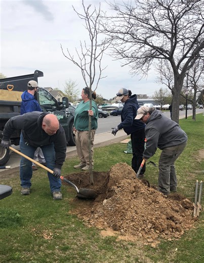 Arbor Day events planned across the Finger Lakes region