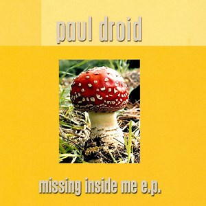 Paul Droid - Missing Inside Me
