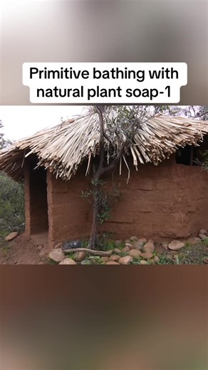 Primitive bathing with natural plant soap-1