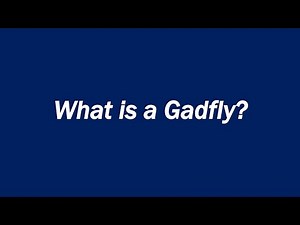 What is a Gadfly?