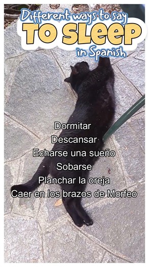 Dormir - to Sleep . learning Spanish