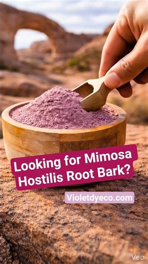 Looking for Mimosa Hostilis root bark? This is how deep color begins. 🌿 violetdyeco.com