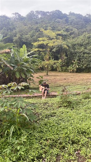 There’s nothing like making music in the rainforest! Our debut album “Make It Last” drops April 19th! Tell your friends 🤙🏻 | Algorhythm