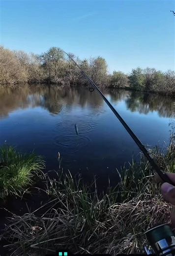 Top Fishing Memes That Make Anglers Laugh