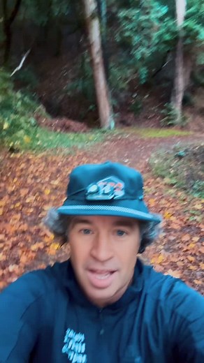 Why Trail Run Saturday? #1 Armstrong Woods #redwoods #2 Magical Views #vertical #3 Amazing People #trailrunners #4 Nutrition & Hydration #start #5 Aid Station 🚉 #cowbells #snacks #6 Do Not Run Alone #biggroup #7 Post Run Cold Drink #refreshing #8 Visit Guerneville #hip #renewal #9 Stumptown Brewery #burgers #10 Stumptown River Patio #fun ——————————————————— Meeting at 8 am in Guerneville at Armstrong Woods! Lots of parking 🅿️ Look for Skip & HRC Truck 🛻 Greenie! All distances, paces and biggi