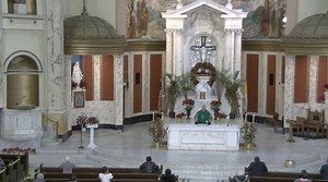 Live Mass Stream - St. Matthew