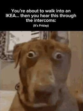 I’m turning back around😭🥀 #meme #memes #3008 #roblox #scp #ikea #robloxmemes