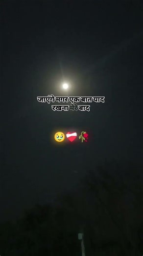 tu logo me rh kr akela rhega 🥹❤️‍🩹🥀#sad #reels #love #alone #girls #sad #girl #sad #love 🥹❤️‍🩹🥀